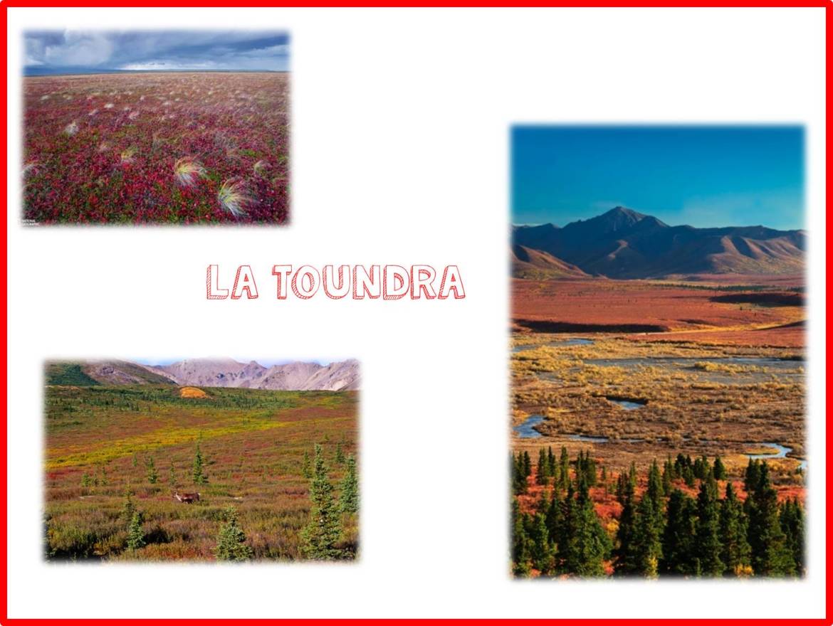 Toundra.jpg