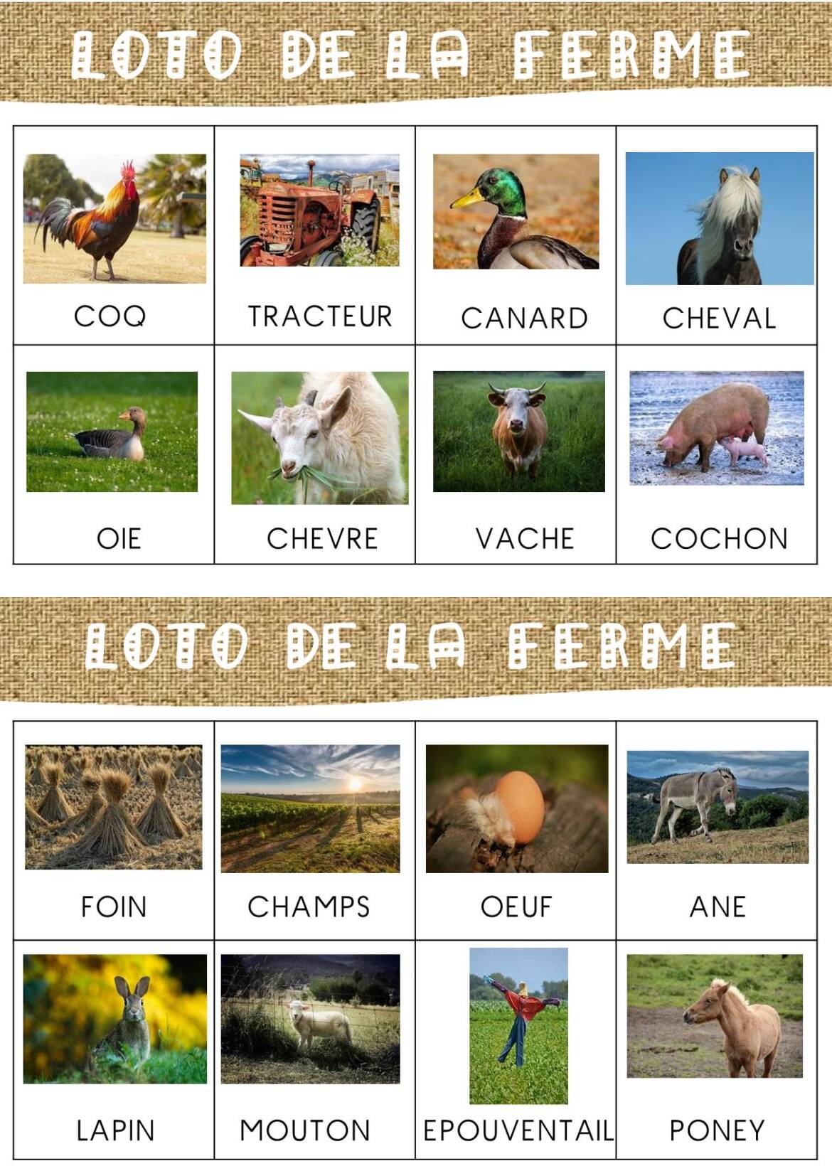 Loto-ferme-.jpg